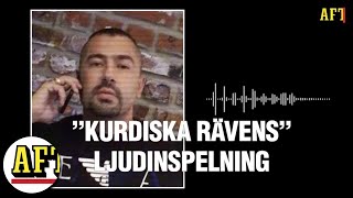 Hör ”Kurdiska rävens” inspelning – därför sprids den på Tiktok [upl. by Bergess995]