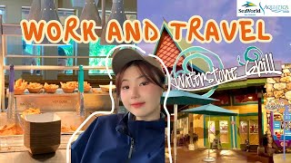 Work and Travel 2023 แชร์ประสบการณ์ทำงานใน สวนสนุกสวนน้ำ seaworld Orlando￼🐬aquatica 🏝️⛱️ [upl. by Esinek]