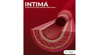 INTIMA Everolimus eluting coronary stent system [upl. by Moneta]