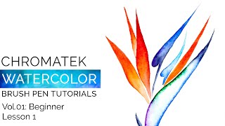 Watercolor Brush Pen Tutorials by Chromatek Beginner Vol01 Lesson 01 [upl. by Ennovahs380]