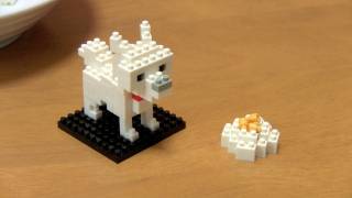 Make a Nano Block Hokkaido Dog  ナノブロック北海道犬 [upl. by Charity]