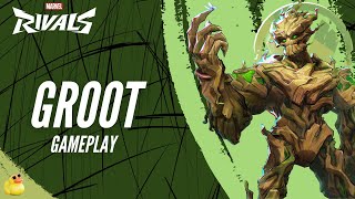 GROOT Gameplay  Marvel Rivals Early Access Alpha Gameplay [upl. by Oirromed]