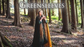 Greensleeves  tin whistle version by Leyna RobinsonStone [upl. by Amlez671]