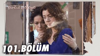 Yaprak Dökümü 101 Bölüm  Full Bölüm [upl. by Snowman]