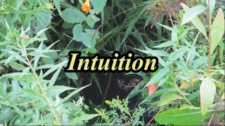 Henri Bergson 3 What is Intuition 2014 [upl. by Ilise234]