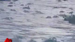 Alligator Feeding Frenzy Caught on Tape [upl. by Ahseat]