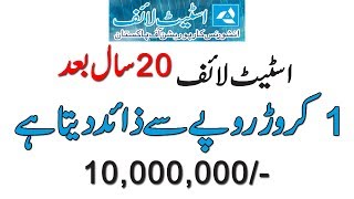 Rs 100000 Yearly Premium and Earn 10000000 After 20 Years  State Life Insurance [upl. by Krisha]