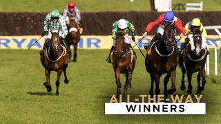 9 ASTONISHING ALLTHEWAY WINNERS AT THE CHELTENHAM FESTIVAL [upl. by Arval781]