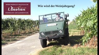 Wie wird der Weinjahrgang [upl. by Pomona]