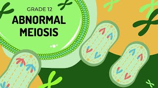 Abnormal Meiosis  Nondisjunction and the formation of Down syndrome [upl. by Atsev112]