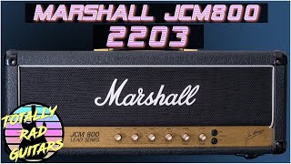 Marshall JCM800 2203  In Depth Review [upl. by Annaicul]