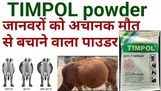 Timpol anti tympany veterinary powder ke kya upyog haitimpol powder uses in hindi in veterinary [upl. by Elianora65]