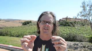 Wes Hagens History of Wine Part 3 Phylloxera the New World and the Future of American Wine [upl. by Eylk]