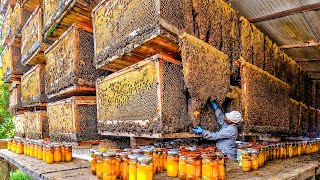 How Biggets Bee Farms Raise Billions Bees And Process Millions Tons Of Honey  Honey In Factory [upl. by Lyons]