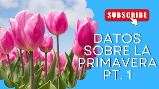 Datos sobre la primavera  spring en el mundo dcdmdatos [upl. by Brost]