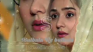 Bulbula Re bulbula Slowed and Reverb👍🏻hindi hindisong song ganaslowedandreverb slowed reverb [upl. by Klug584]