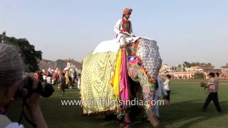 Visitors take pictures of decorated elephants during Jaipur hathi parade [upl. by Maighdlin]