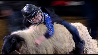 Mutton Bustin highlights  San Antonio Rodeo  Feb 25 2022 [upl. by Lorien811]