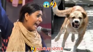 Dama Dam Mast Kalandar I Divya Kumar I Aditi Singh Sharma [upl. by Thadeus]