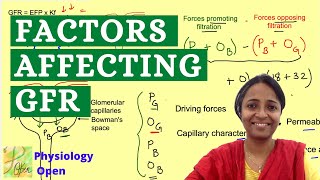 Factors affecting glomerular filtration rate GFR  Renal system physiology mbbs 1st year lecture [upl. by Amend594]