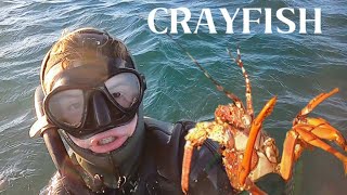 EPIC CRAYFISH ADVENTURE  Port elizabeth South Africa [upl. by Suolevram]