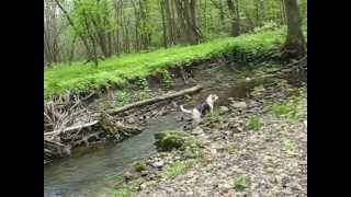 20120422 LAKE LEAQUANA STATE PARK [upl. by Miharbi467]