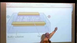 8 BB 350 Protein Purification II  Enzymes I  Kevin Aherns Biochemistry Online [upl. by Notnek611]