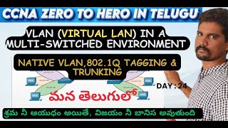 VLAN in a MultiSwitched environment  8021Q Tagging  Trunking Native VLAN vlan ccna cisco [upl. by Yahsat]