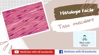 8 Les Tissus Musculaires  Histologie 1ère MED [upl. by Amor]