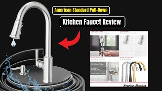 American Standard PullDown Kitchen Faucet Review [upl. by Primrosa221]