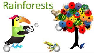 Facts about Tropical Rainforests [upl. by Ema483]