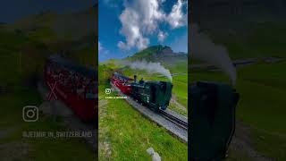 brienz brienzersee brienzrothornbahn switzerland schweiz video videoshort viralvideo fyp [upl. by Yllehs810]