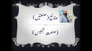 Sanat e tajnees definition types and examples  urdu grammer  صنعت تجنیس تعریف اور مثالیں [upl. by Sunny]