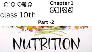 Class 10th science chapter 1NUTRITION Part2 [upl. by Nassi]