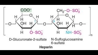 Heparin blood anticoagulant Blood Thinner made from Dog Liver [upl. by Ahsienaj589]