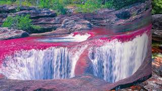 Rivière Caño Cristales Colombie [upl. by Harilda]