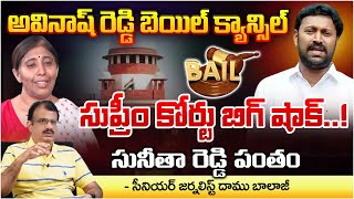 Supreme Court big Shock To YS Avinash Reddy Over YS Viveka Case  RED TV Nellore [upl. by Saba30]