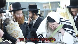 Lelov Nikolsburg Rebbe At The Na’anuim  Hoshana Rabbah 20245785  אדמו”ר מלעלוב ניקלשבורג בנענועים [upl. by Nimajnab581]