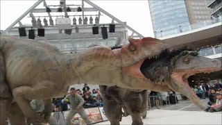 DINO A LIVE ディノアライブ ラゾーナ川崎【Eng Sub】 [upl. by Esiocnarf]