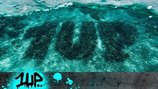 1UP  CORAL REEF [upl. by Massingill3]