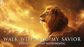 My Desire  Prophetic Worship Music Instrumental  Theophilus Sunday [upl. by Searby478]