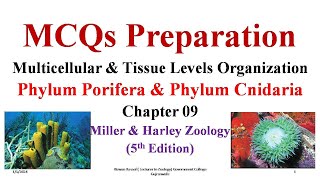 MCQs Phylum Cnidaria Phylum Porifera Sponges Parazoa Porifera Sponges FPSC SPSC KPSC PPSC [upl. by Ecnerual294]