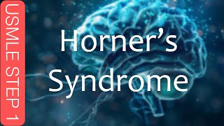 USMLE Step 1  Horners Syndrome [upl. by Naic182]