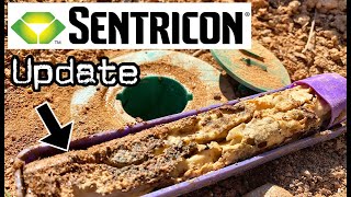 Sentricon Termite Bait Stations 1 Year Update [upl. by Leler]