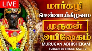 🔴LIVE மார்கழி செவ்வாய்க்கிழமை முருகன் அபிஷேக காட்சி பாருங்க  MURUGAN Abhishekam muruga abhishekam [upl. by Ddat]