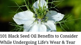 101 Black Seed Oil Benefits to Consider While Undergoing Life’s Wear amp Tear [upl. by Llert]