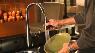 Moen Arbor Chrome onehandle high arc pulldown kitchen faucet [upl. by Uball]