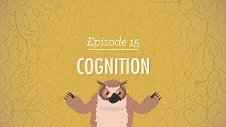 Cognition  How Your Mind Can Amaze and Betray You Crash Course Psychology 15 [upl. by Llerrah169]