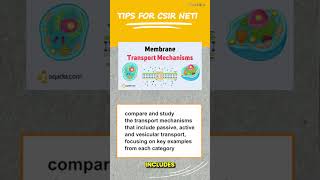 60 Seconds Tips for Mastering Cellular Membrane Concepts Effectively cell concept tips [upl. by Avin]