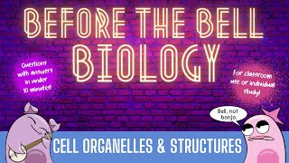 Cell Organelles amp Structures Before the Bell Biology [upl. by Pessa695]